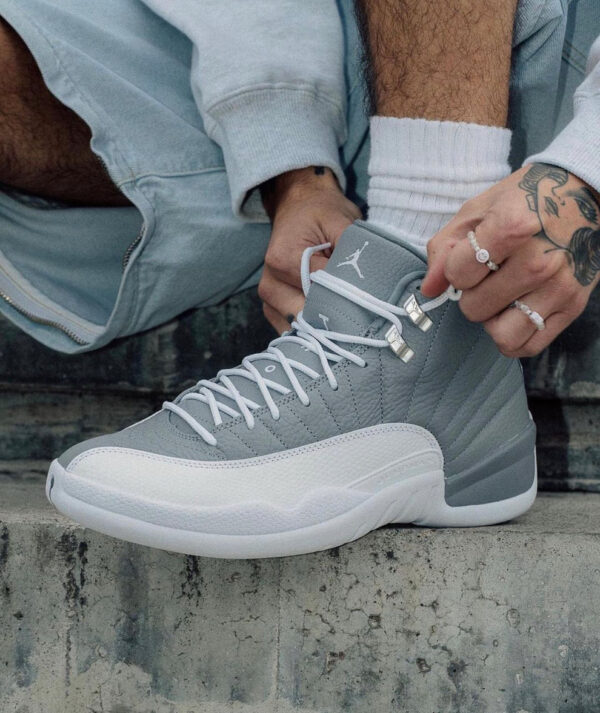 Air Jordan "12 Stealth"